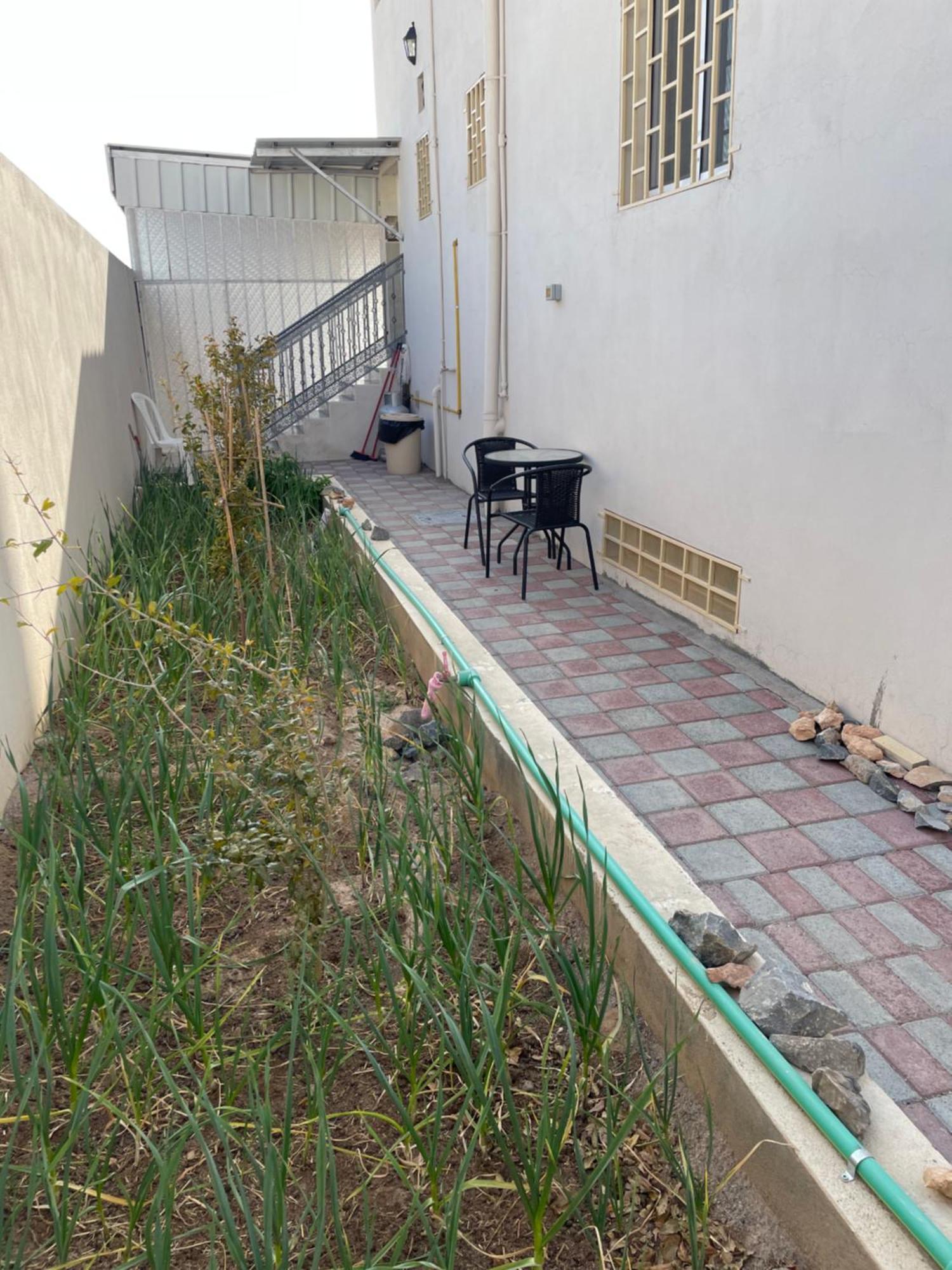 Apartment In Bayt Al Jabal شقة في بيت الجبل Sayq Екстериор снимка